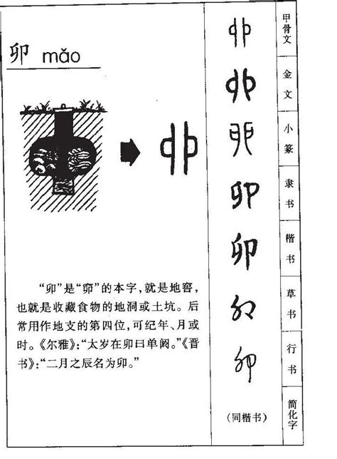 卯字根|卯字形演变字源